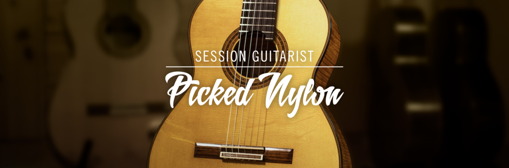 دانلود وی اس تی گیتار session guitarist picked nylon