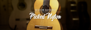 دانلود وی اس تی گیتار session guitarist picked nylon