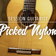 دانلود وی اس تی گیتار session guitarist picked nylon